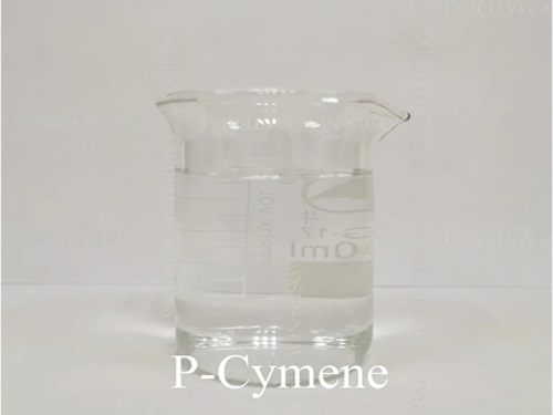 Apa itu bahan monomer?